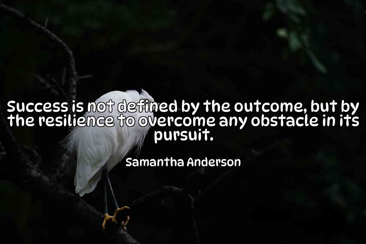 Success is not defined by the outcome, but by the resilience to overcome any obstacle in its pursuit. - Samantha Anderson