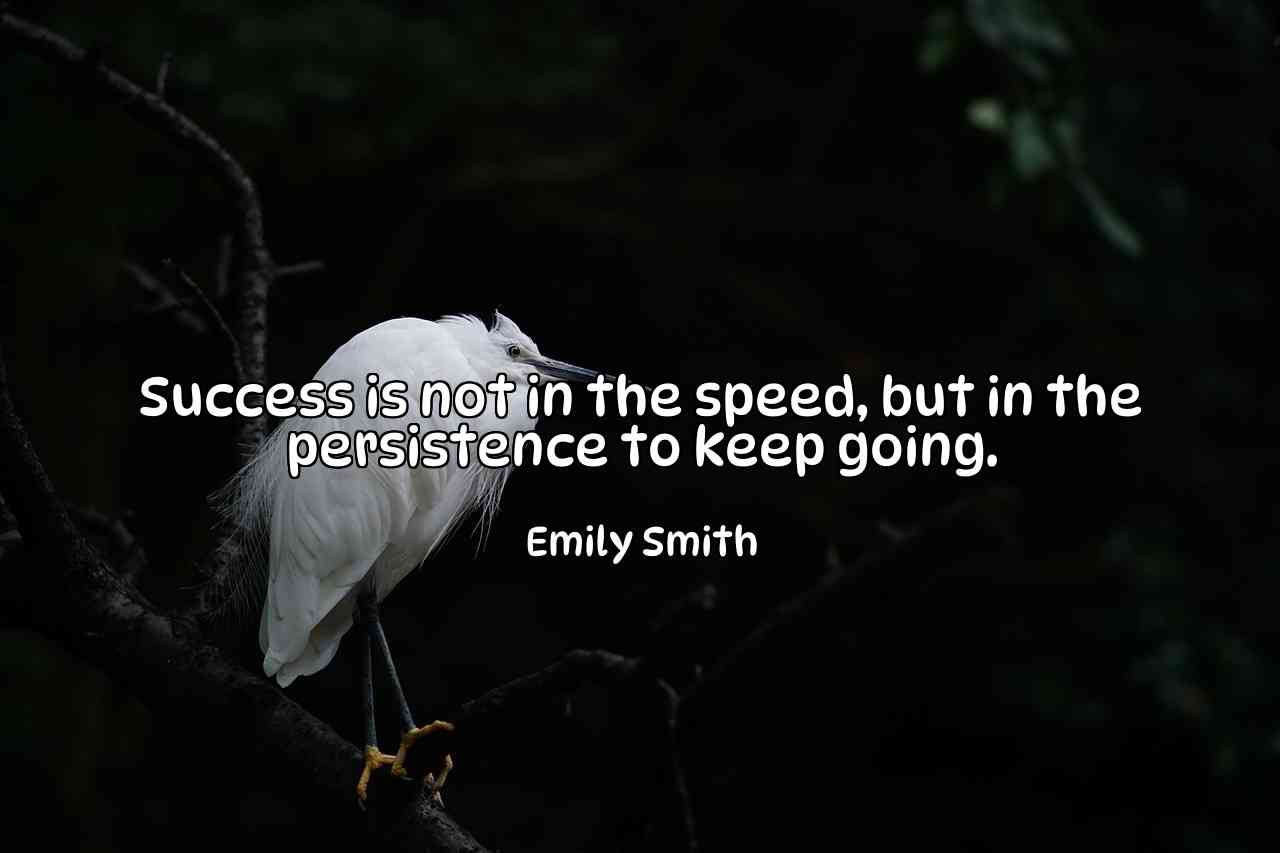 Success is not in the speed, but in the persistence to keep going. - Emily Smith