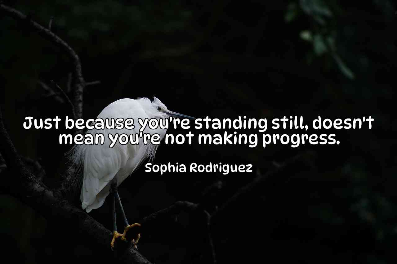 Just because you're standing still, doesn't mean you're not making progress. - Sophia Rodriguez