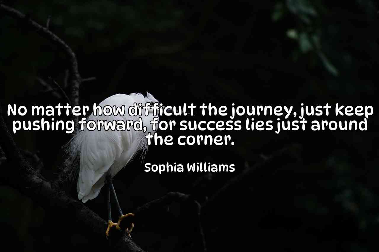 No matter how difficult the journey, just keep pushing forward, for success lies just around the corner. - Sophia Williams