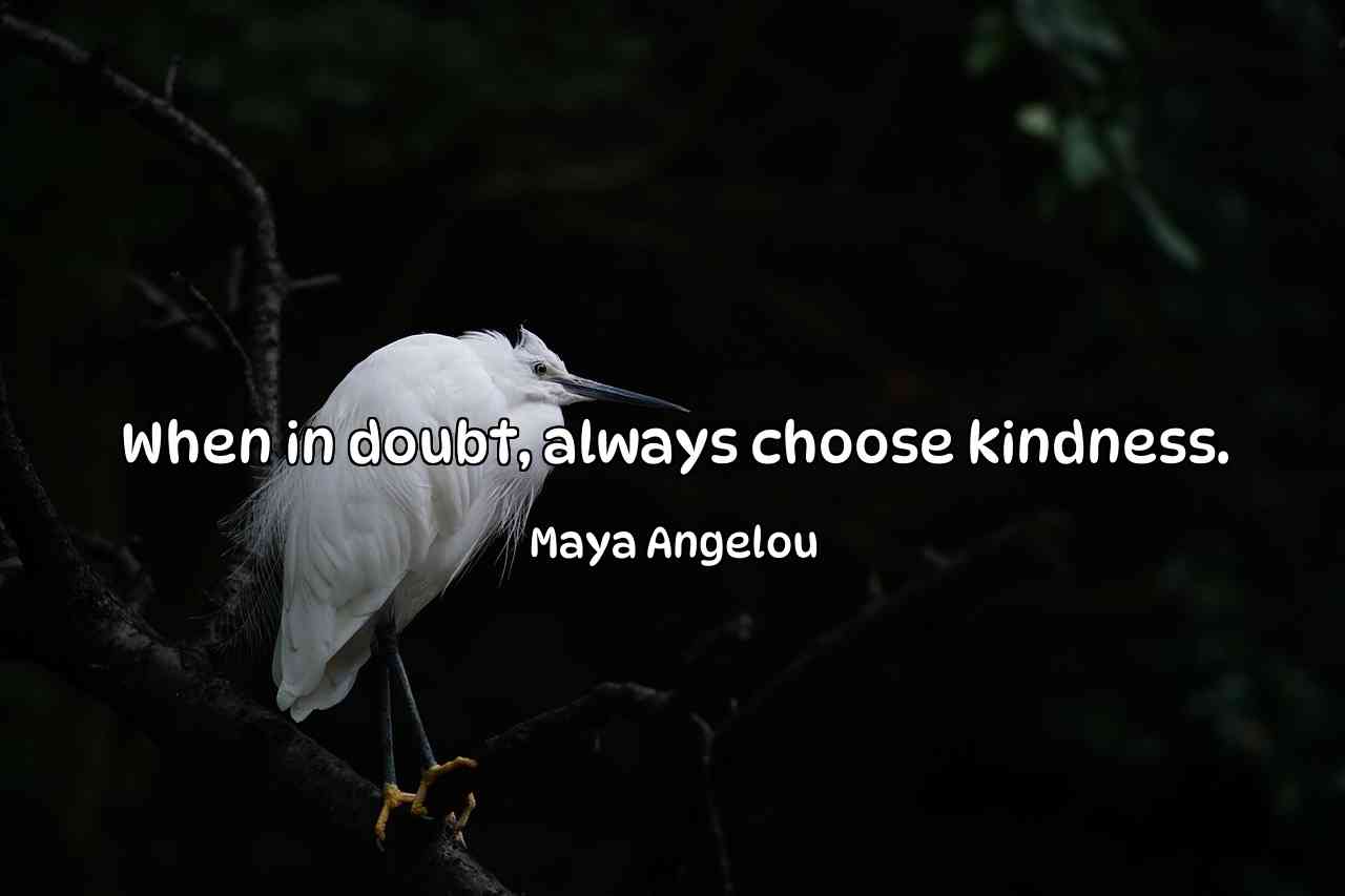 When in doubt, always choose kindness. - Maya Angelou