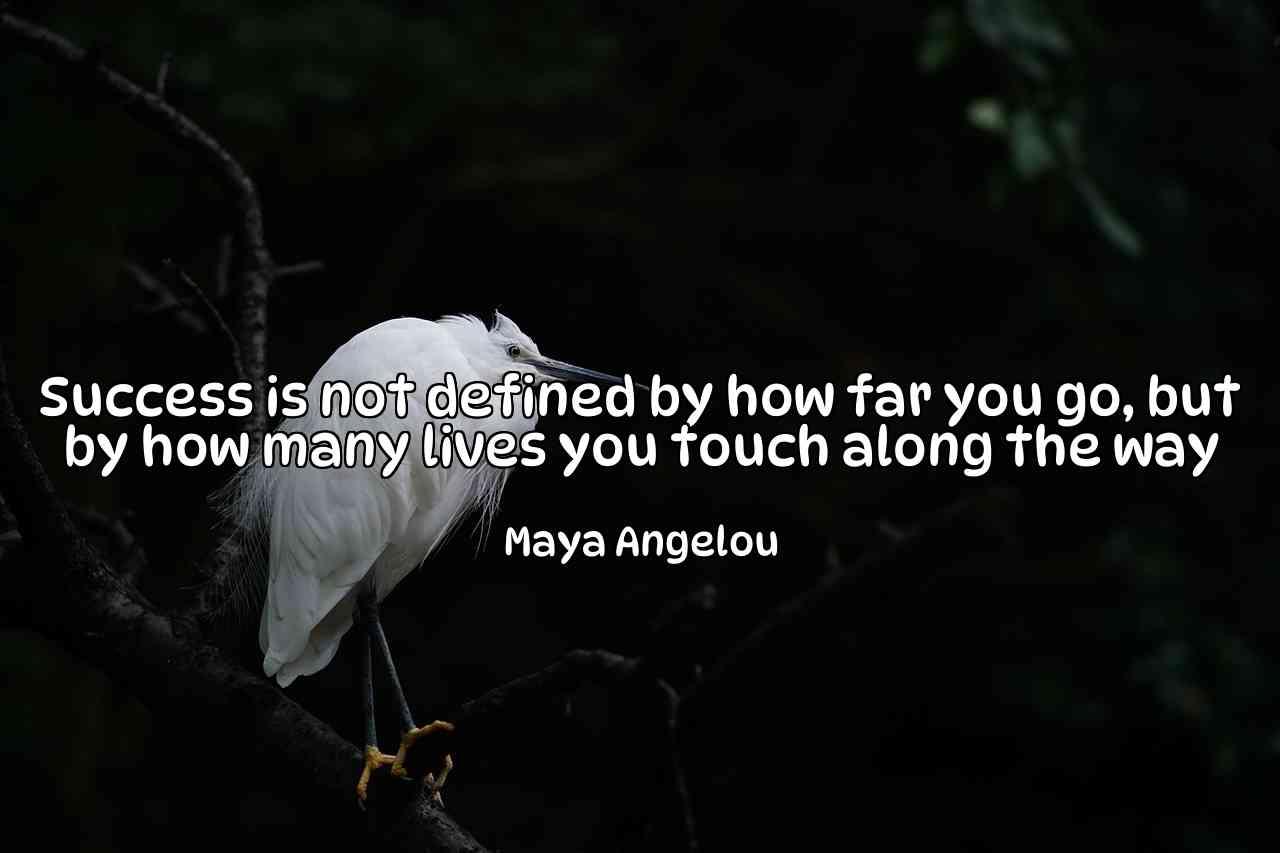 Success is not defined by how far you go, but by how many lives you touch along the way - Maya Angelou