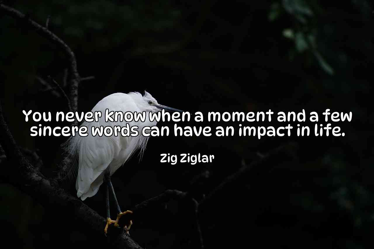 You never know when a moment and a few sincere words can have an impact in life. - Zig Ziglar