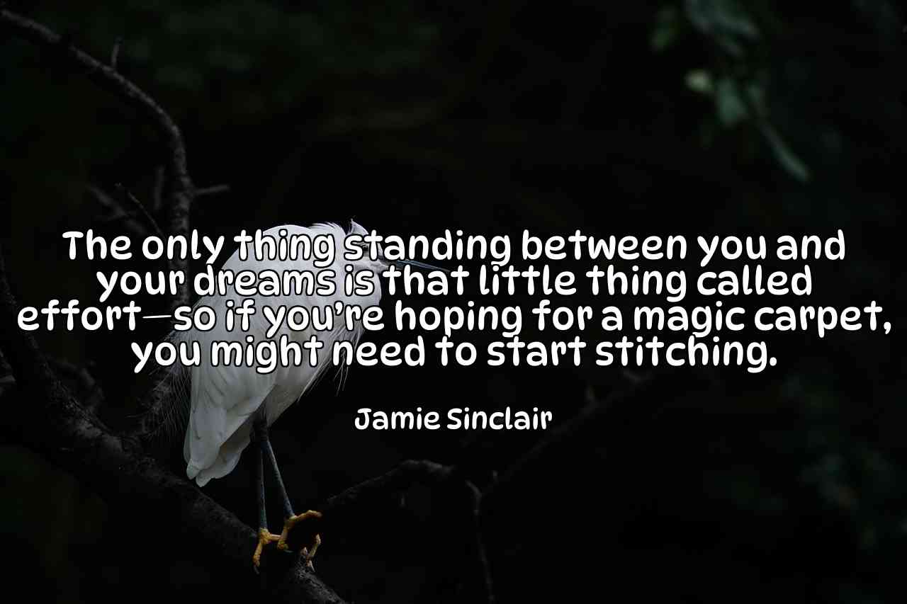 The only thing standing between you and your dreams is that little thing called effort—so if you’re hoping for a magic carpet, you might need to start stitching. - Jamie Sinclair