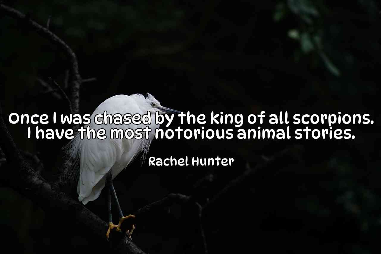 Once I was chased by the king of all scorpions. I have the most notorious animal stories. - Rachel Hunter