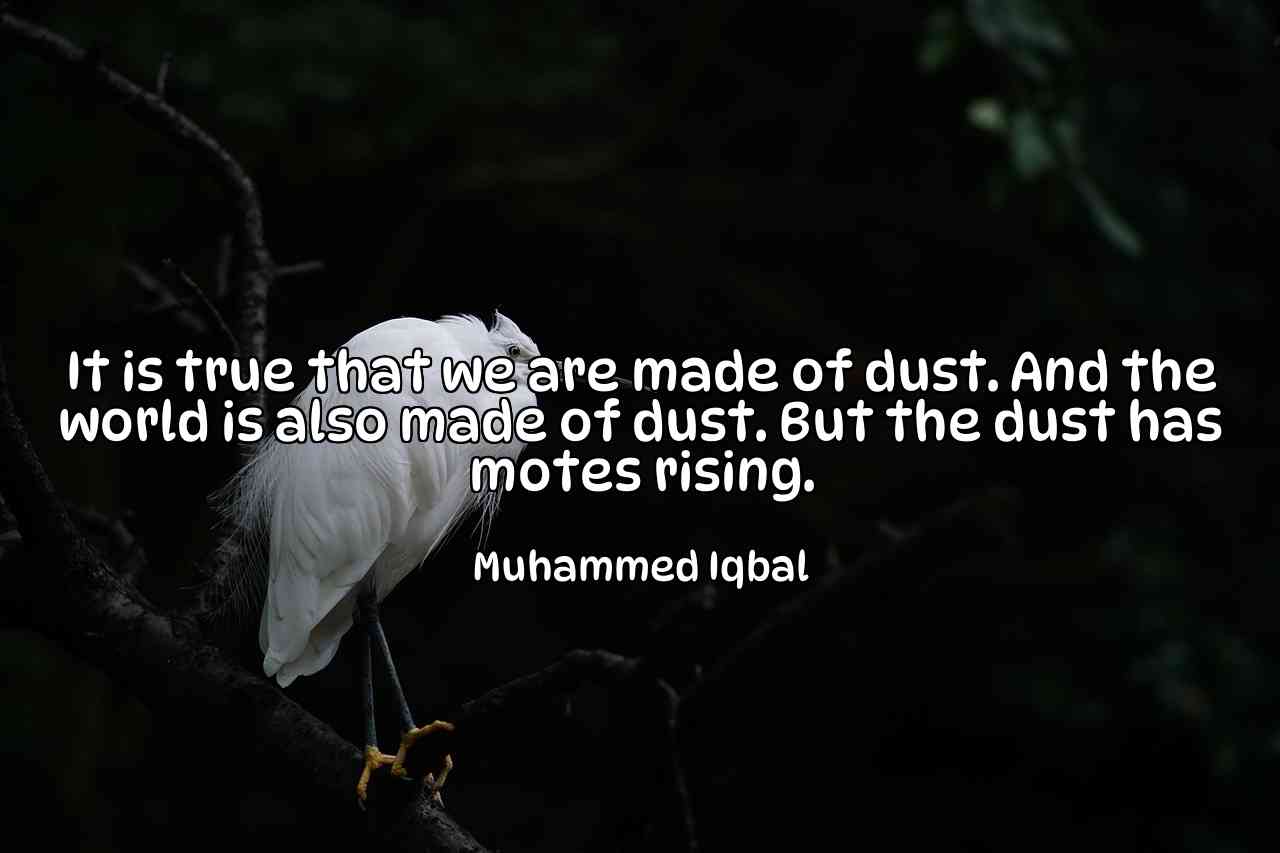 It is true that we are made of dust. And the world is also made of dust. But the dust has motes rising. - Muhammed Iqbal