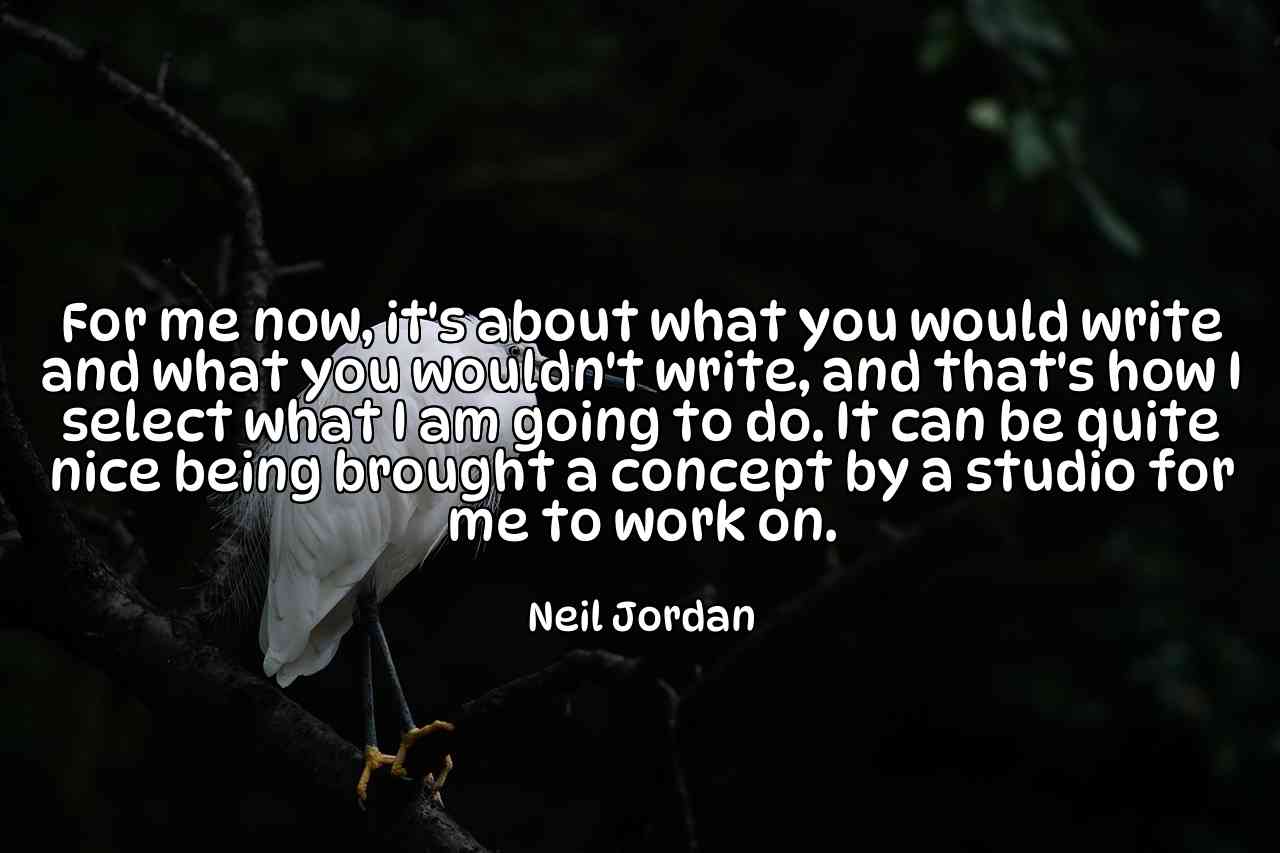 For me now, it's about what you would write and what you wouldn't write, and that's how I select what I am going to do. It can be quite nice being brought a concept by a studio for me to work on. - Neil Jordan