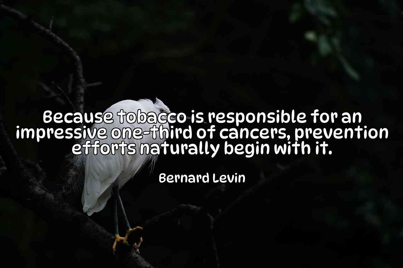 Because tobacco is responsible for an impressive one-third of cancers, prevention efforts naturally begin with it. - Bernard Levin