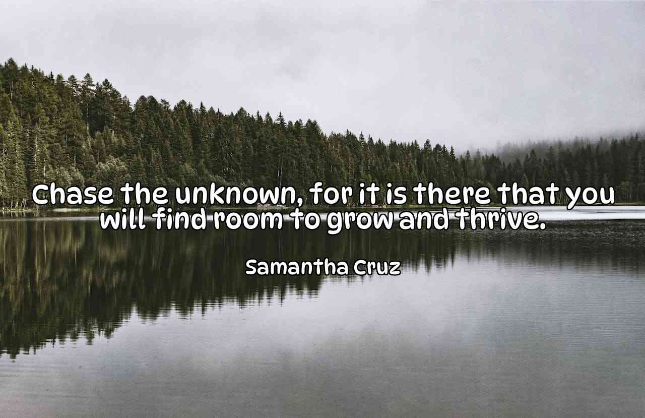 Chase the unknown, for it is there that you will find room to grow and thrive. - Samantha Cruz