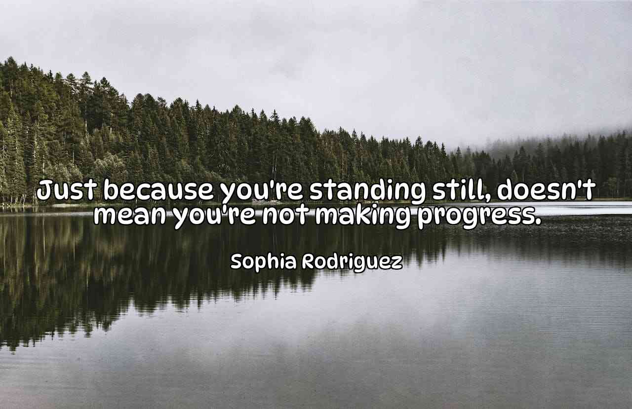 Just because you're standing still, doesn't mean you're not making progress. - Sophia Rodriguez