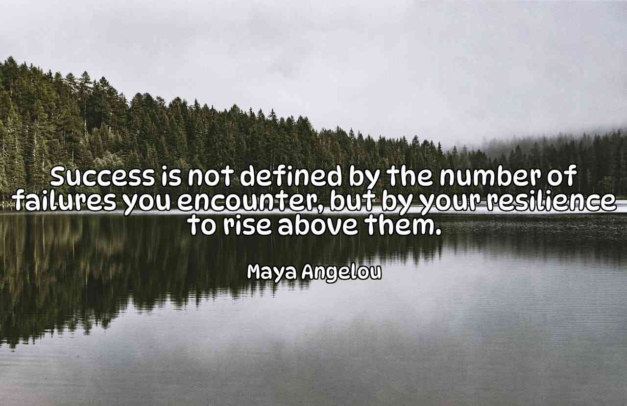 Success is not defined by the number of failures you encounter, but by your resilience to rise above them. - Maya Angelou