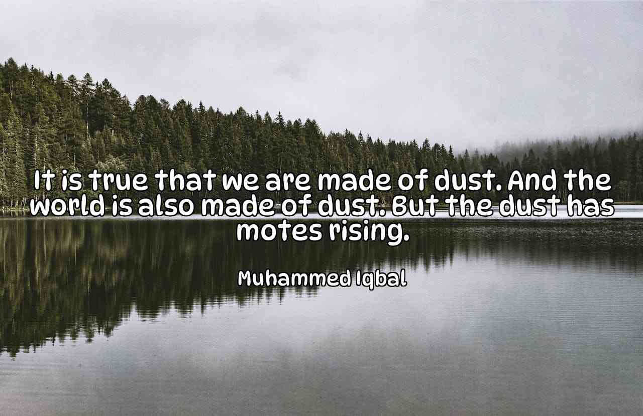 It is true that we are made of dust. And the world is also made of dust. But the dust has motes rising. - Muhammed Iqbal