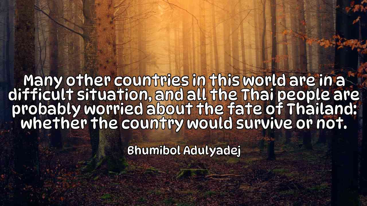 Many other countries in this world are in a difficult situation, and all the Thai people are probably worried about the fate of Thailand: whether the country would survive or not. - Bhumibol Adulyadej