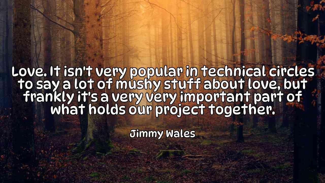 Love. It isn't very popular in technical circles to say a lot of mushy stuff about love, but frankly it's a very very important part of what holds our project together. - Jimmy Wales