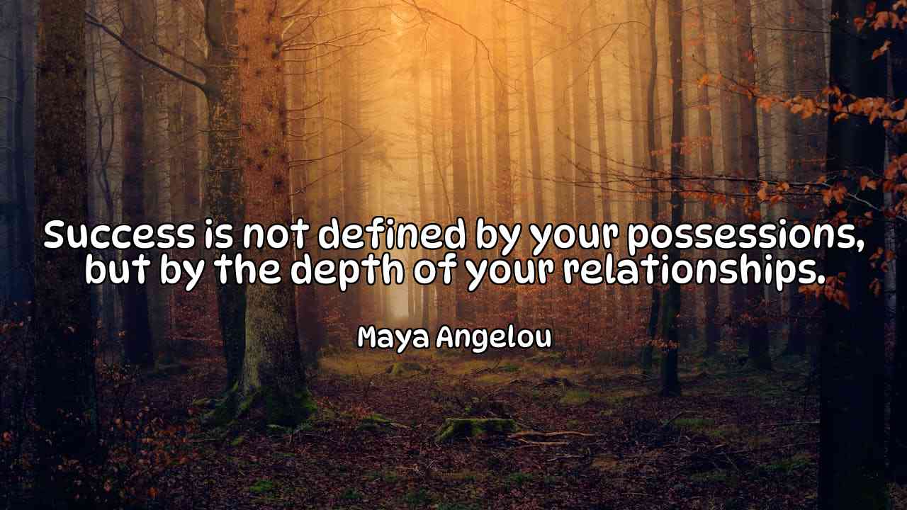 Success is not defined by your possessions, but by the depth of your relationships. - Maya Angelou