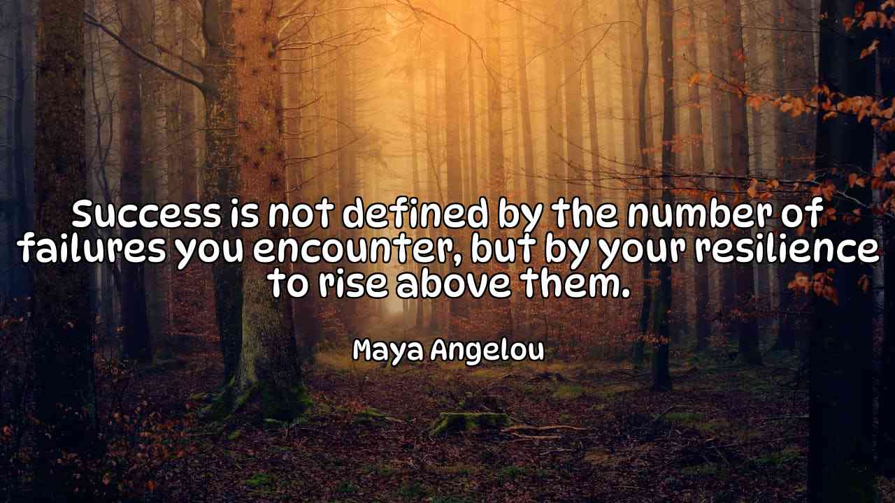 Success is not defined by the number of failures you encounter, but by your resilience to rise above them. - Maya Angelou