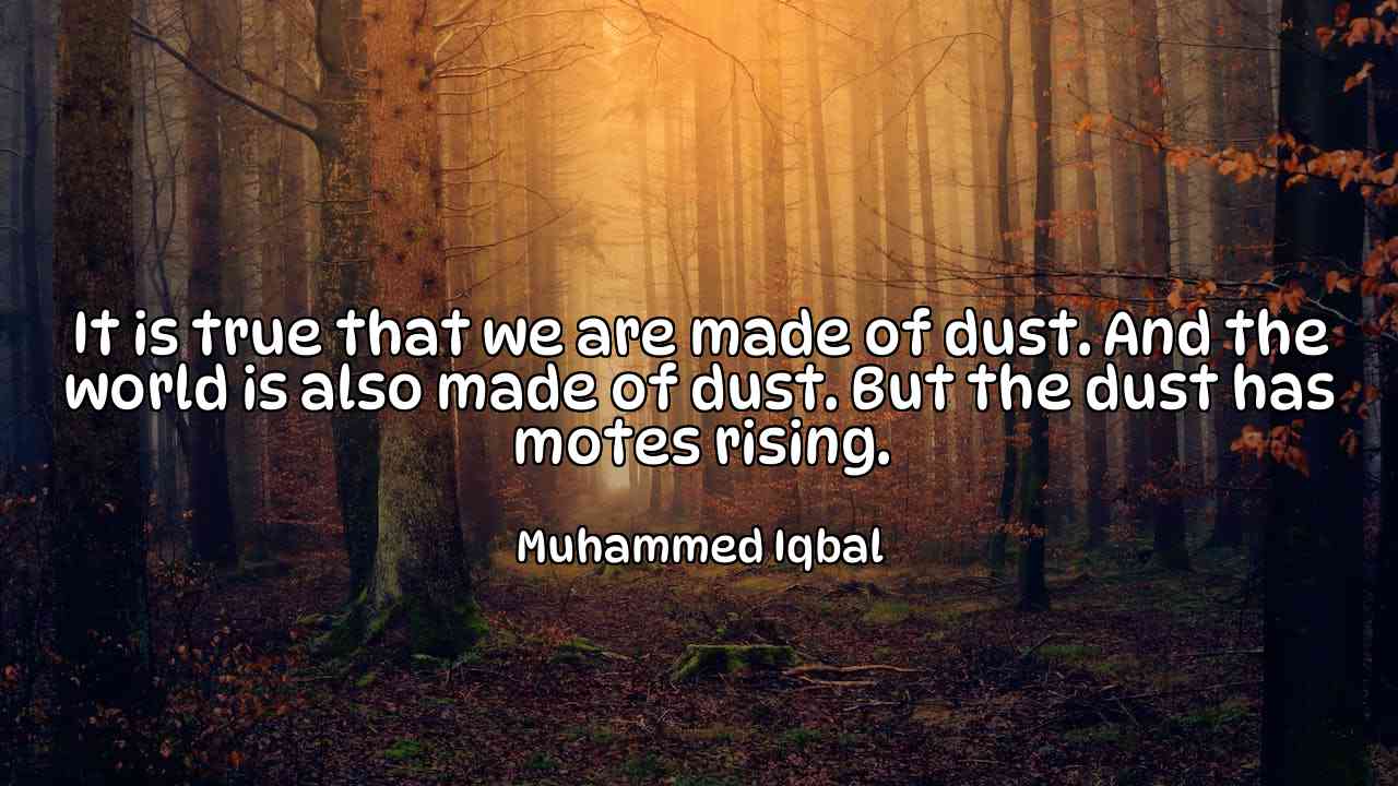 It is true that we are made of dust. And the world is also made of dust. But the dust has motes rising. - Muhammed Iqbal