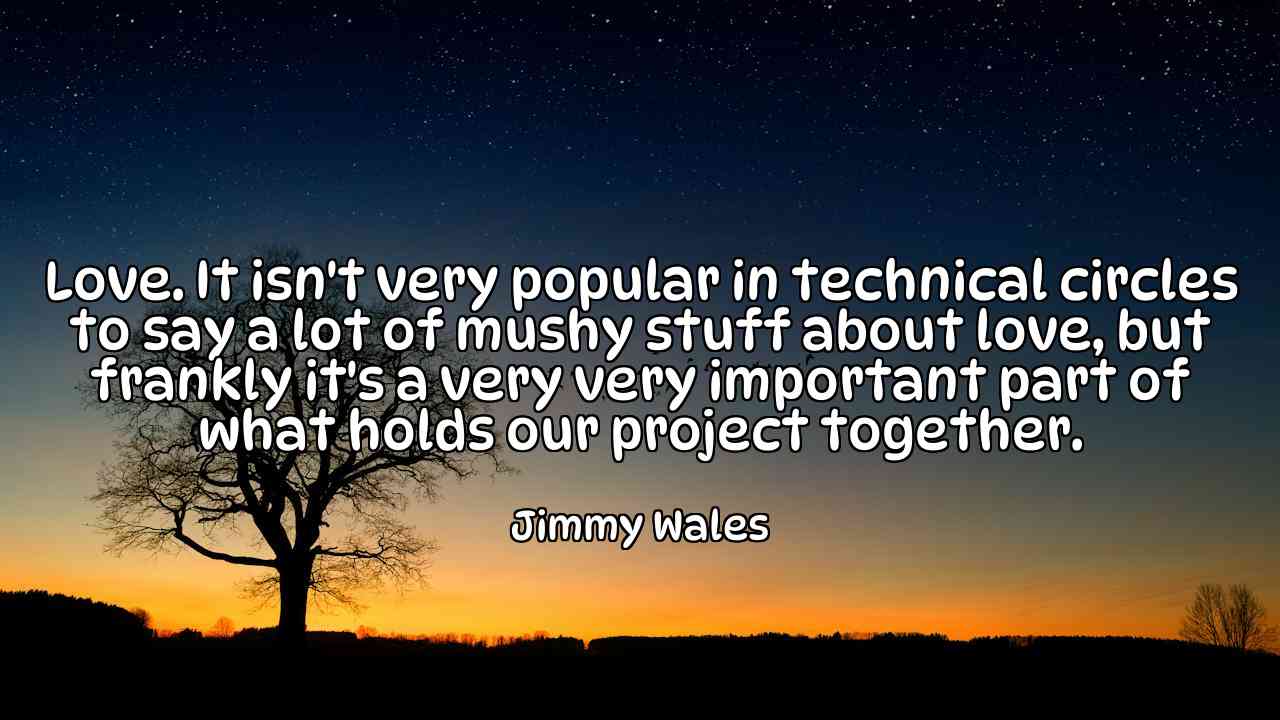 Love. It isn't very popular in technical circles to say a lot of mushy stuff about love, but frankly it's a very very important part of what holds our project together. - Jimmy Wales