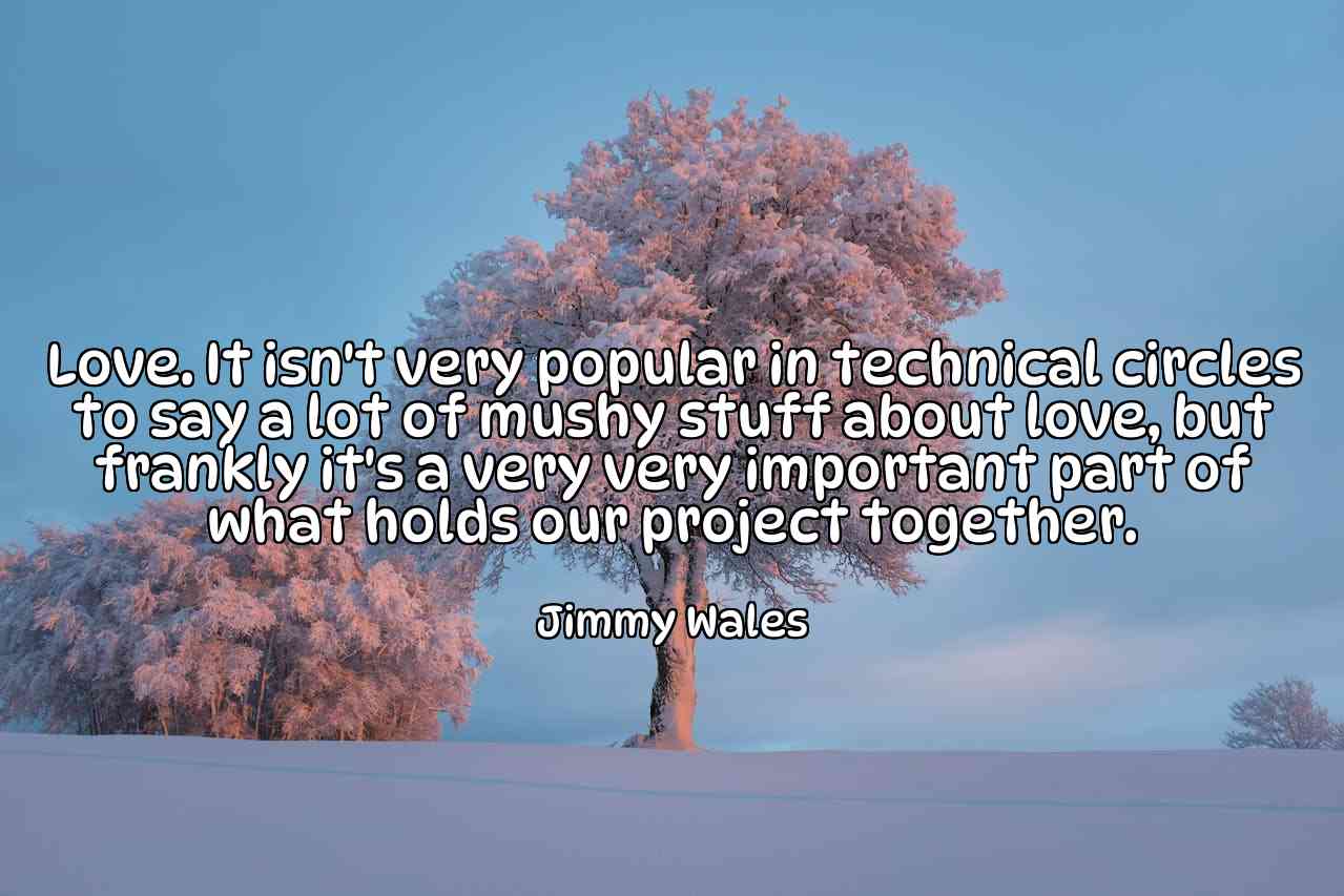 Love. It isn't very popular in technical circles to say a lot of mushy stuff about love, but frankly it's a very very important part of what holds our project together. - Jimmy Wales