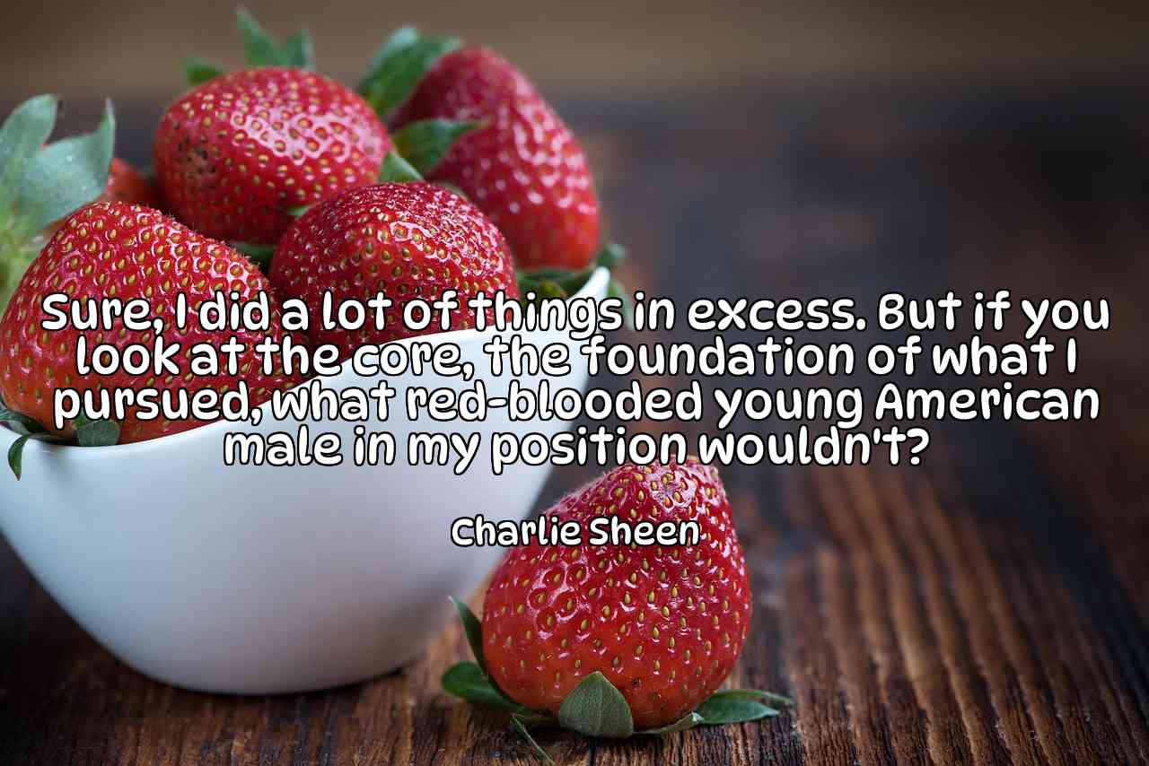 Sure, I did a lot of things in excess. But if you look at the core, the foundation of what I pursued, what red-blooded young American male in my position wouldn't? - Charlie Sheen