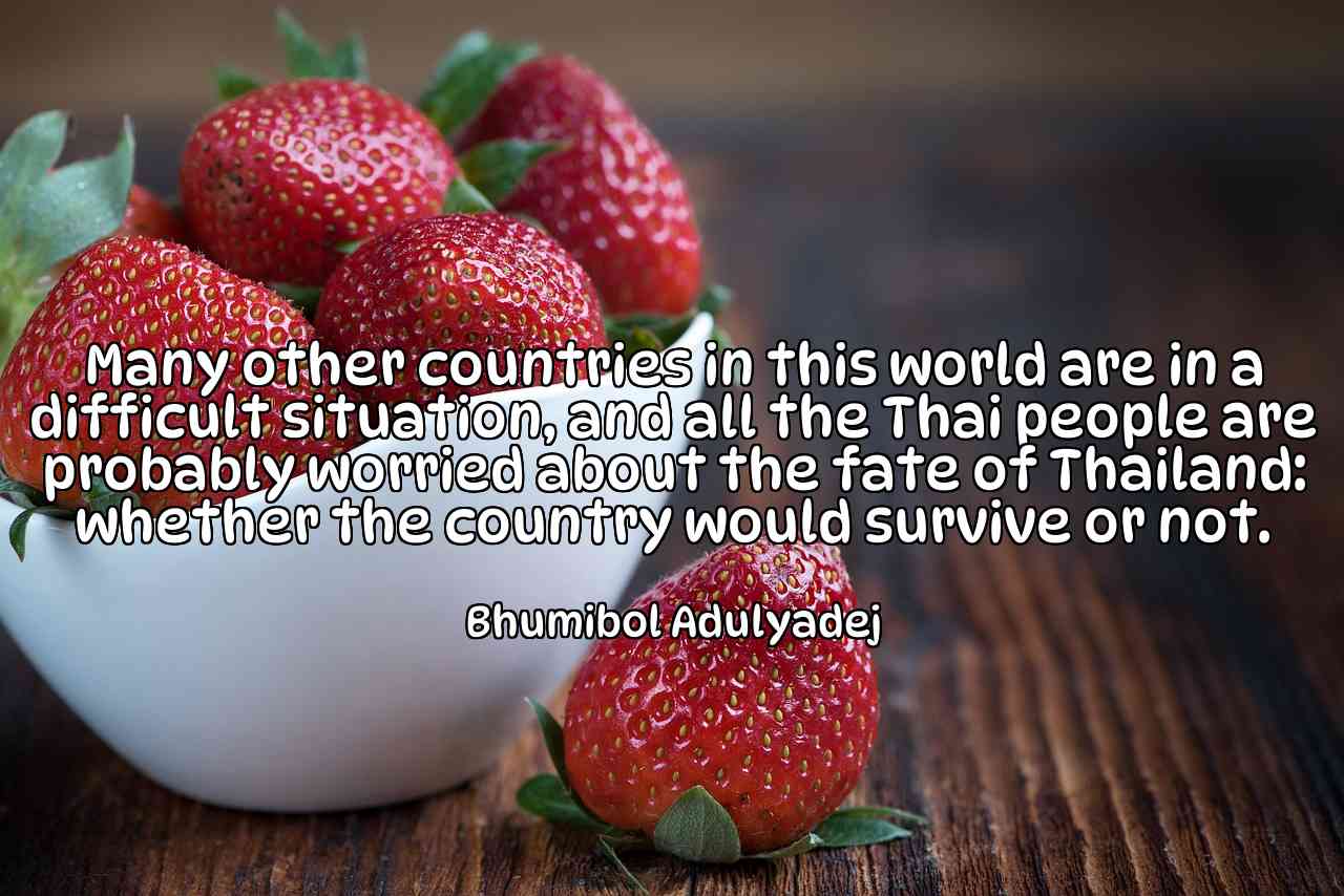 Many other countries in this world are in a difficult situation, and all the Thai people are probably worried about the fate of Thailand: whether the country would survive or not. - Bhumibol Adulyadej