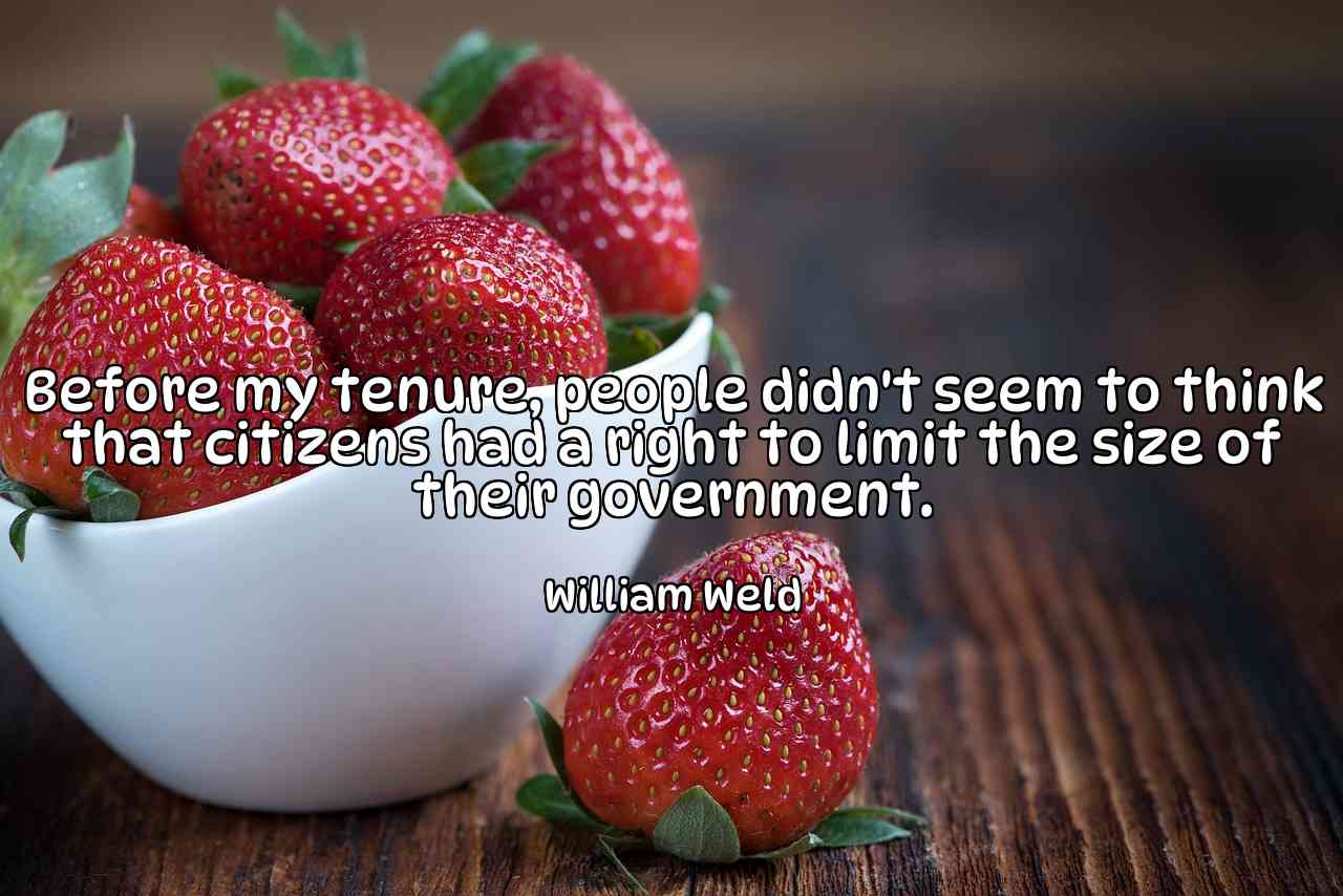 Before my tenure, people didn't seem to think that citizens had a right to limit the size of their government. - William Weld