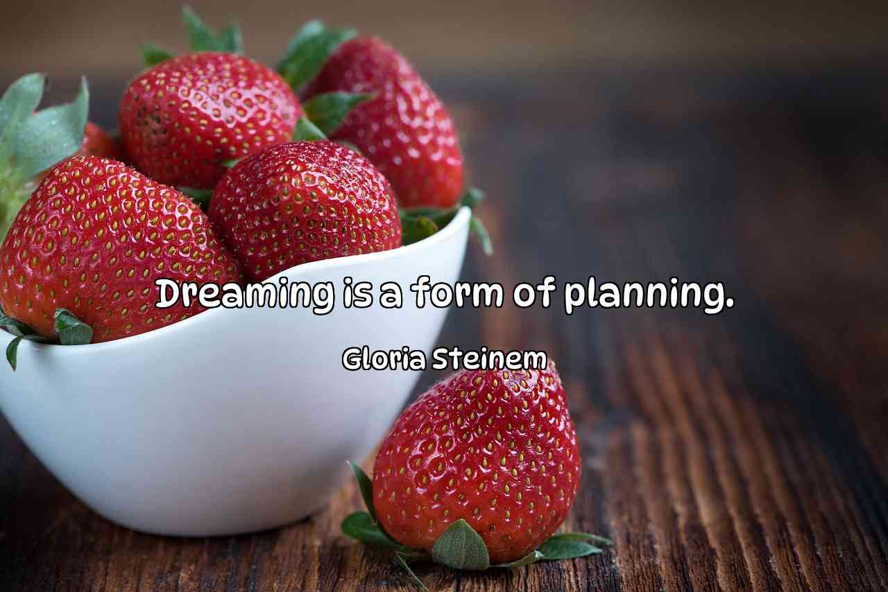 Dreaming is a form of planning. - Gloria Steinem