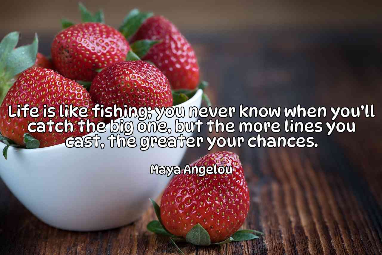 Life is like fishing; you never know when you’ll catch the big one, but the more lines you cast, the greater your chances. - Maya Angelou